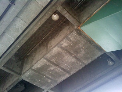IMAG0016