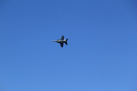 IMG_3493